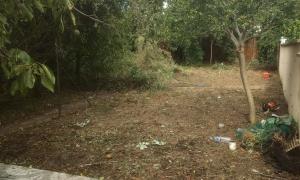 desherbage jardin Linas
