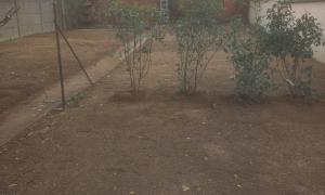 desherbage jardin 1