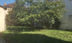 elagage arbre Marcoussis