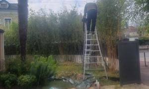 entretien de jardin Saint-Maur-des-Fossés