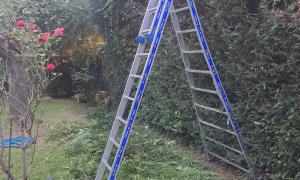  taille de haie sur l'Essonne2