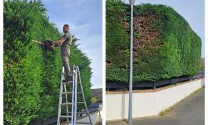  Paysagiste sur l'Essonne (