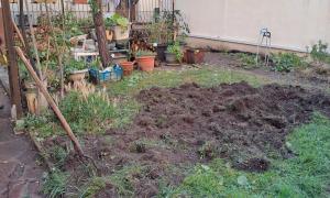 avant jardinage