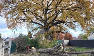  Jeanroy Elagage  Sur l'Essonne Les Hauts de Seine - Val de Marne