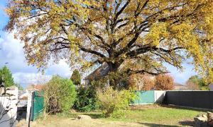  Jeanroy Elagage  Sur l'Essonne Les Hauts de Seine - Val de Marne