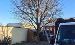Jeanroy Elagage Abattage d'arbres  Sur l'Essonne