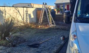 Jeanroy Elagage Abattage d'arbres  Sur l'Essonne