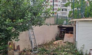 Abattage Montrouge