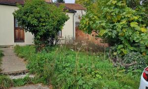 Élagage Sur l'Essonne