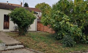 Élagage Sur l'Essonne
