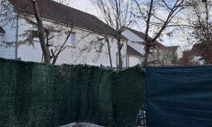 Elagueur Sainte-Geneviève-des-Bois