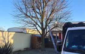 Jeanroy Elagage Abattage d'arbres  Sur l'Essonne
